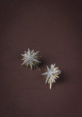 Classic Star Stud Earrings - Reen & co.Classic Star Stud Earrings
